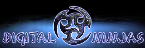 Digital Ninjas Media, Inc.