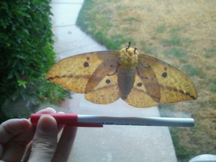 One more for scale